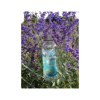 Бутылка для воды Carl Oscar WisdomFlask Water, 650 мл
