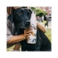 Термос Chilly's Bottles Emma bridgewater, 500 мл, dogs