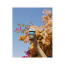 Кружка KeepCup Original Clear Australis, 340 мл